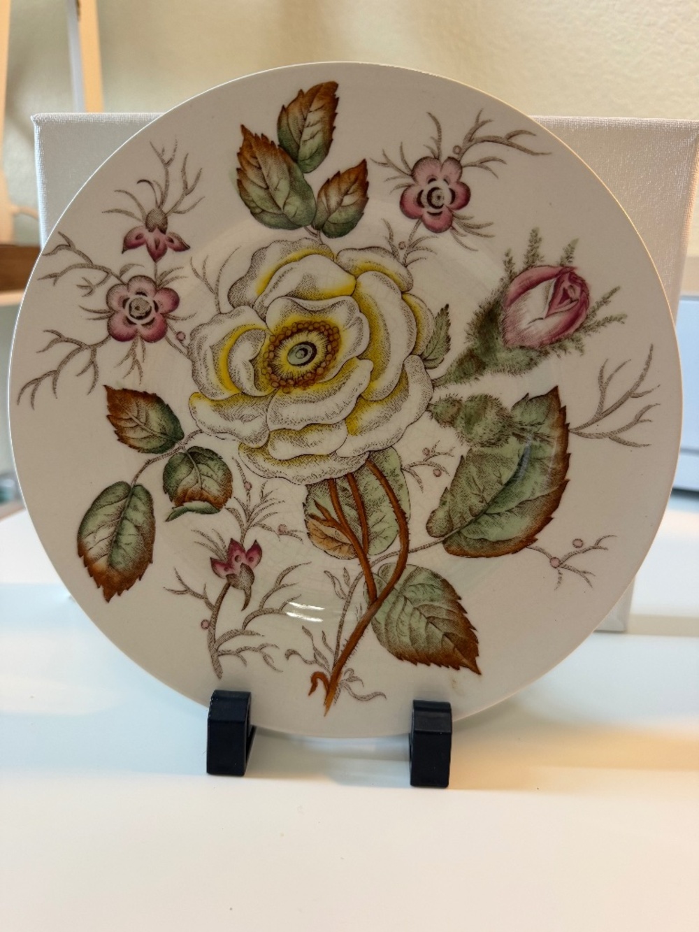 John Maddock & Sons "Old Rose" plate